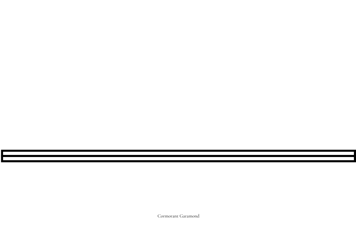 Braiderz Network